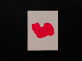  Noemi Blager – Architecure exhibition