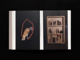  Noemi Blager – Architecure exhibition